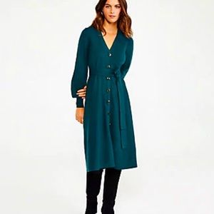 Ann Taylor Button-Down Belted Dress